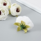 Бутон на ножке для декорирования "Пион Шарм" белоснежный 3,5х3,5 см 9765754