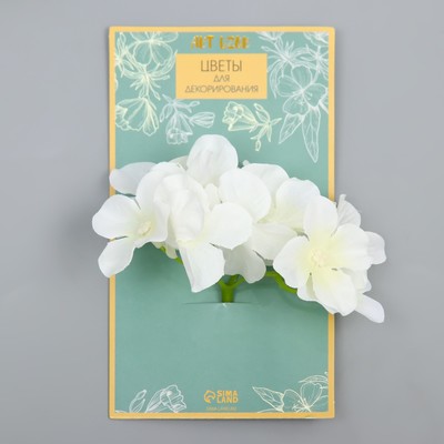 Цветы для декорирования "Гортензия" белые 10х10 см