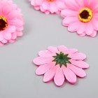 Бутон на ножке для декорирования "Хризантема-ромашка розовая" d=5 см - Фото 2