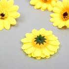 Бутон на ножке для декорирования "Хризантема-ромашка жёлтая" d=5 см - Фото 2