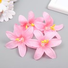 Бутон на ножке для декорирования "Лилия садовая" розовая 6,5х6,5 см (комплект 12 шт) - фото 24518655