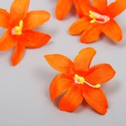 Бутон на ножке для декорирования "Лилия садовая" оранжевая 6,5х6,5 см - фото 10895527