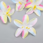 Бутон на ножке для декорирования "Лилия садовая" разноцветная 6,5х6,5 см - фото 302168801