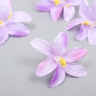 Бутон на ножке для декорирования "Лилия садовая" фиолетовая 6,5х6,5 см - Фото 1