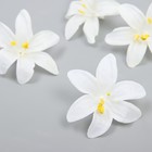Бутон на ножке для декорирования "Лилия садовая" белая 6,5х6,5 см - фото 282666186
