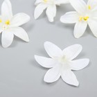 Бутон на ножке для декорирования "Лилия садовая" белая 6,5х6,5 см - Фото 2