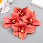 Бутон на ножке для декорирования "Орхидея кремово-розовая" 7,5х8 см - Фото 3