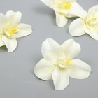 Бутон на ножке для декорирования "Орхидея белая" 7,5х8 см - фото 319948239