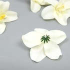 Бутон на ножке для декорирования "Орхидея белая" 7,5х8 см - Фото 3