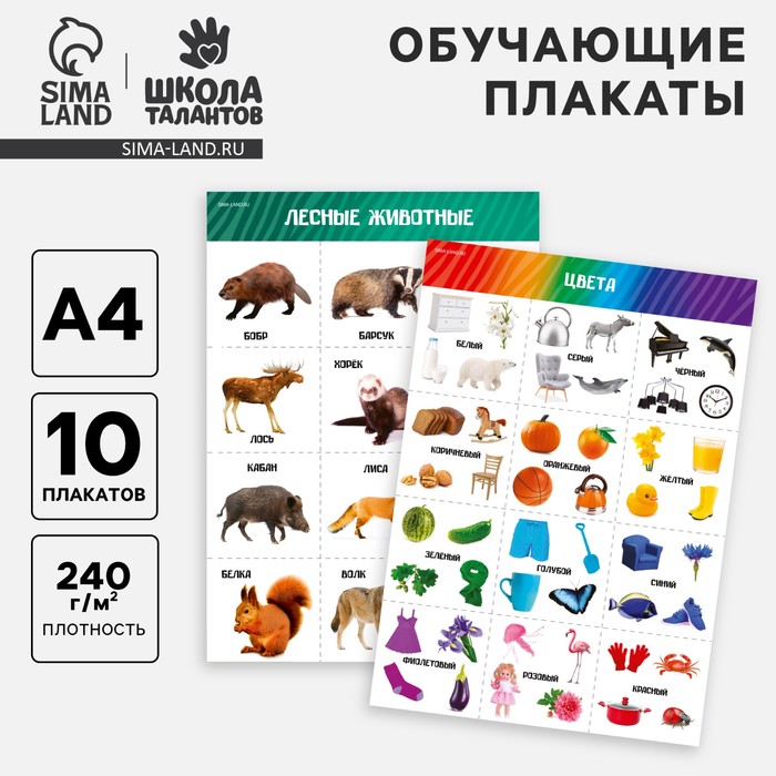

Набор обучающих плакатов «Изучаем мир», 10 в 1, А4