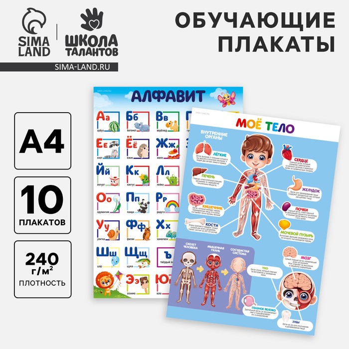 

Набор обучающих плакатов «Готовимся к школе», 10 в 1, А4
