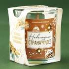 Свеча новогодняя «Страна чудес», аромат имбирный пряник, 5×6 см 9474445 - фото 16849572