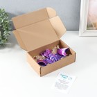 Сувенир-антистресс "Летучая Мышь Бартог" 23,5х11,5х3,8 см, сиреневый - фото 24256292