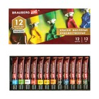 Краска масляная художественная, набор 12 цветов х 12 мл, Brauberg Art Premiere - фото 301194070