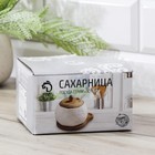 УЦЕНКА Сахарница фарфоровая Bella Tenero, 350 мл, 13.5×10×10 см, без ложки - Фото 3