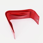 Кошелёк женский на кнопке, цвет красный - фото 22645308