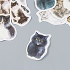 Наклейки для творчества "Кошечки" набор 46 шт 4,4х4,4х1,1 см - Фото 2