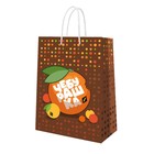 Пакет подарочный «Чебурашка в апельсине», 250 × 350 × 100 мм - фото 319950323