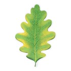 Плакат вырубной "Листочек дубовый" зелёно-жёлтый 6,5х6,5 см - фото 110383827