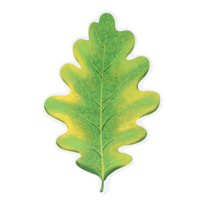 Плакат вырубной "Листочек дубовый" зелёно-жёлтый 6,5х6,5 см - Фото 1