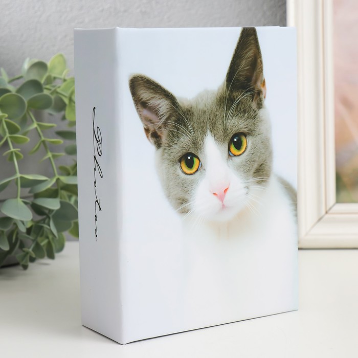 Фотоальбом на 100 фото 10×15 см «Кот» - Фото 1