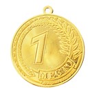 Медаль призовая 196, d= 5 см. 1 место. Цвет золото. Без ленты - Фото 2