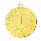 Медаль призовая 197, d= 5 см. 1 место. Цвет золото. Без ленты - Фото 2