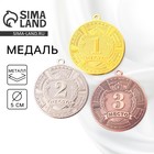 Медаль призовая «2 место» серебро 197, d=5 см, без ленты - Фото 1