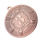 Медаль призовая 197 диам 5 см. 3 место. Цвет бронз. Без ленты - фото 3907619