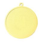 Медаль призовая 198, d= 5 см. 1 место. Цвет золото. Без ленты - Фото 4
