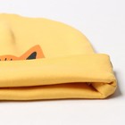 Шапка детская, цвет жёлтый, размер 46-48 - фото 45723286