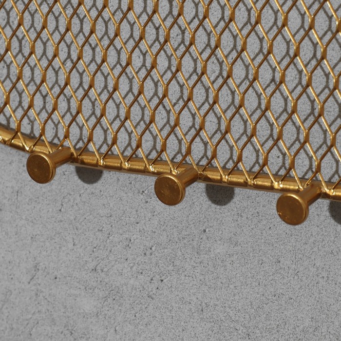 Органайзер настенный сетка «Овал» 19 крючков, 40×20,5 см, цвет золотой - фото 1887215220