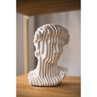 Скульптура «Голова Давида», 18 х 18 х 29 см - Фото 3