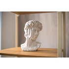 Скульптура «Голова Давида», 18 х 18 х 29 см - Фото 4