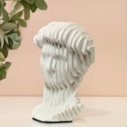Скульптура «Голова Давида», 10 х 10 х 16 см - Фото 1