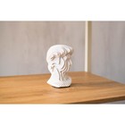 Скульптура «Голова Давида», 10 х 10 х 16 см - Фото 2
