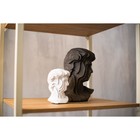 Скульптура «Голова Давида», 10 х 10 х 16 см - Фото 3