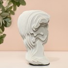 Скульптура «Голова Давида», 10 х 10 х 16 см - Фото 4