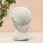 Скульптура «Голова Давида», 10 х 10 х 16 см - Фото 5