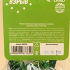 Жевательная резинка «Сладкие бомбочки» с начинкой, вкус: лайм, 50 г. 9687762