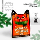 Жевательная резинка «Уже Новый год», вкус: тутти-фрутти, 50 г.