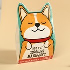 Жевательная резинка «Кто тут хороший мальчик?», вкус: тутти-фрутти, 50 г. 9694170