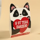 Жевательная резинка «Я от тебя пандею», вкус: тутти-фрутти, 50 г. 9694171 - фото 14239861