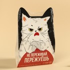 Жевательная резинка «Пережуешь», вкус: тутти-фрутти, 50 г. 9694172