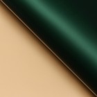 Пленка для цветов, «Золотая сторона», 57×57 см ±1 см зелёная сосна - Фото 2