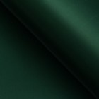 Пленка для цветов, «Золотая сторона», 57×57 см ±1 см зелёная сосна - Фото 3