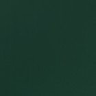 Пленка для цветов, «Золотая сторона», 57×57 см ±1 см зелёная сосна - Фото 4