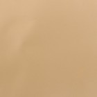 Пленка для цветов, «Золотая сторона», 57×57 см ±1 см зелёная сосна - Фото 5