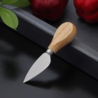 Нож для сыра Доляна «Ломоть», ручка из гевеи, 12,1×3 см - фото 4390481