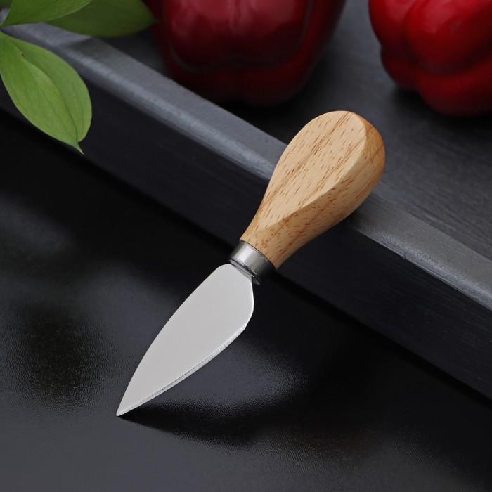 Нож для сыра Доляна «Ломоть», ручка из гевеи, 12,1×3 см - Фото 1